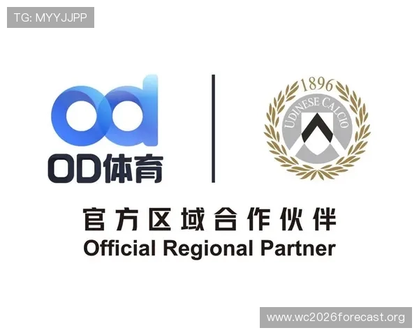 OD体育旗舰厅多平台兼容性分析，帮助用户选择最适合自己的使用设备和方式